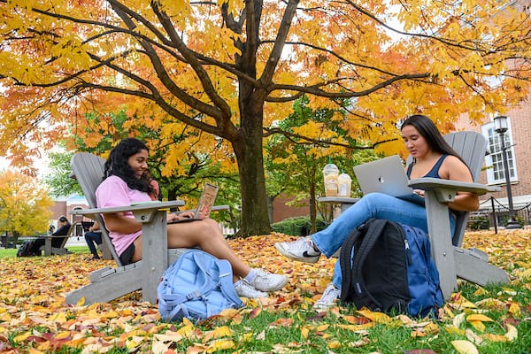 two students sitting in chairs outside under a tree with yellow leaves